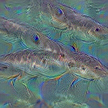 n02640242 sturgeon